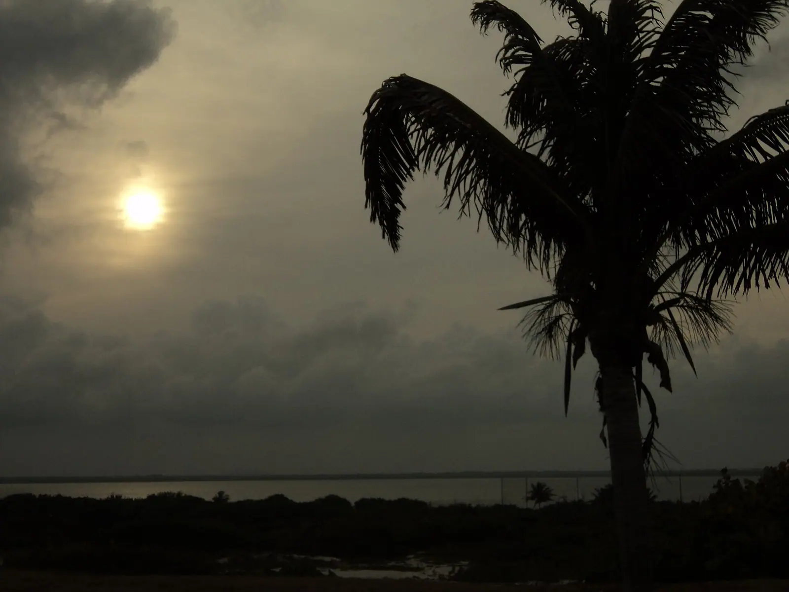坎昆：LAGUNA NICHUPTE DESDE PLAYA DELFINES