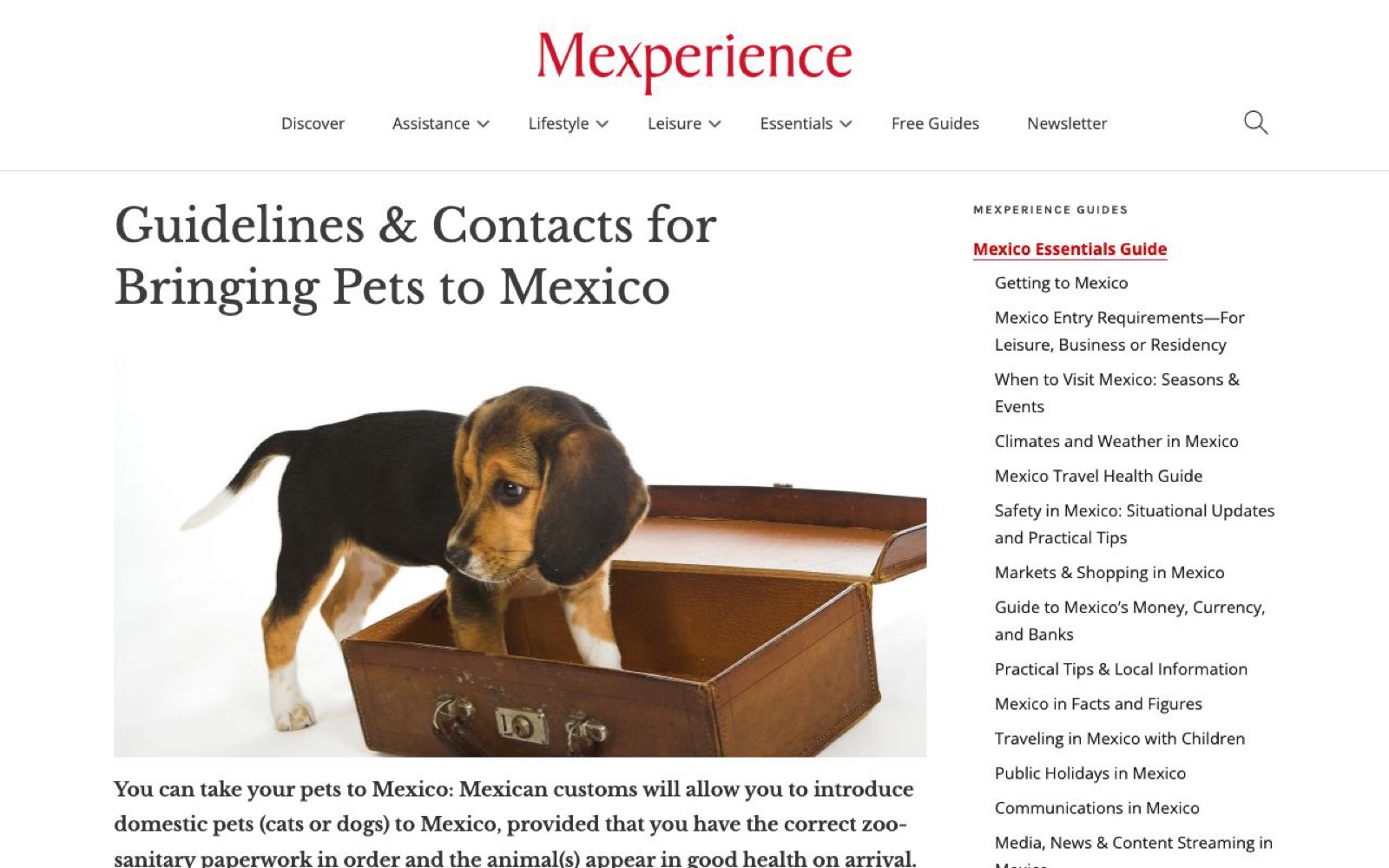Mexperience宠物入境指南