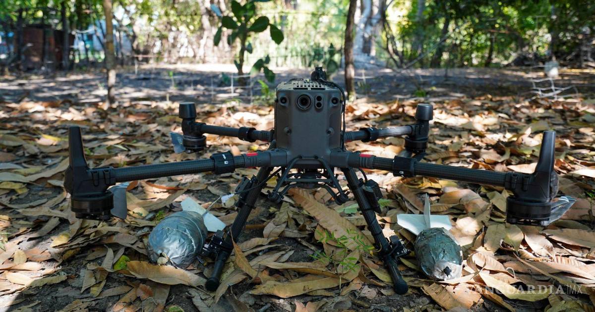 谢因鲍姆任内查获164架贩毒集团无人机