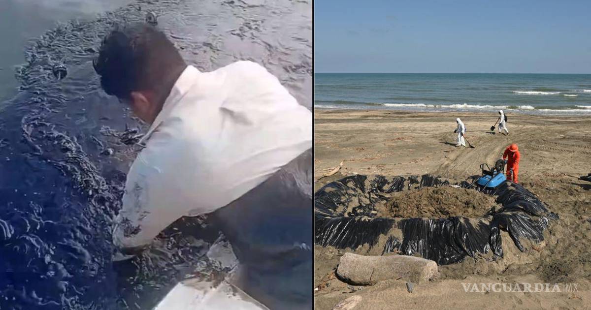 维拉克鲁斯和塔巴斯科39个地区遭受石油泄漏影响