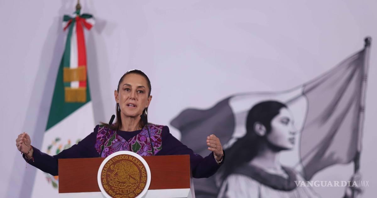 谢因鲍姆政府愿与联合国合作处理失踪案件