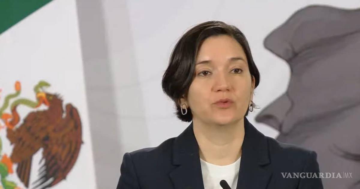 谢因鲍姆政府称18个月内凶杀案下降41%