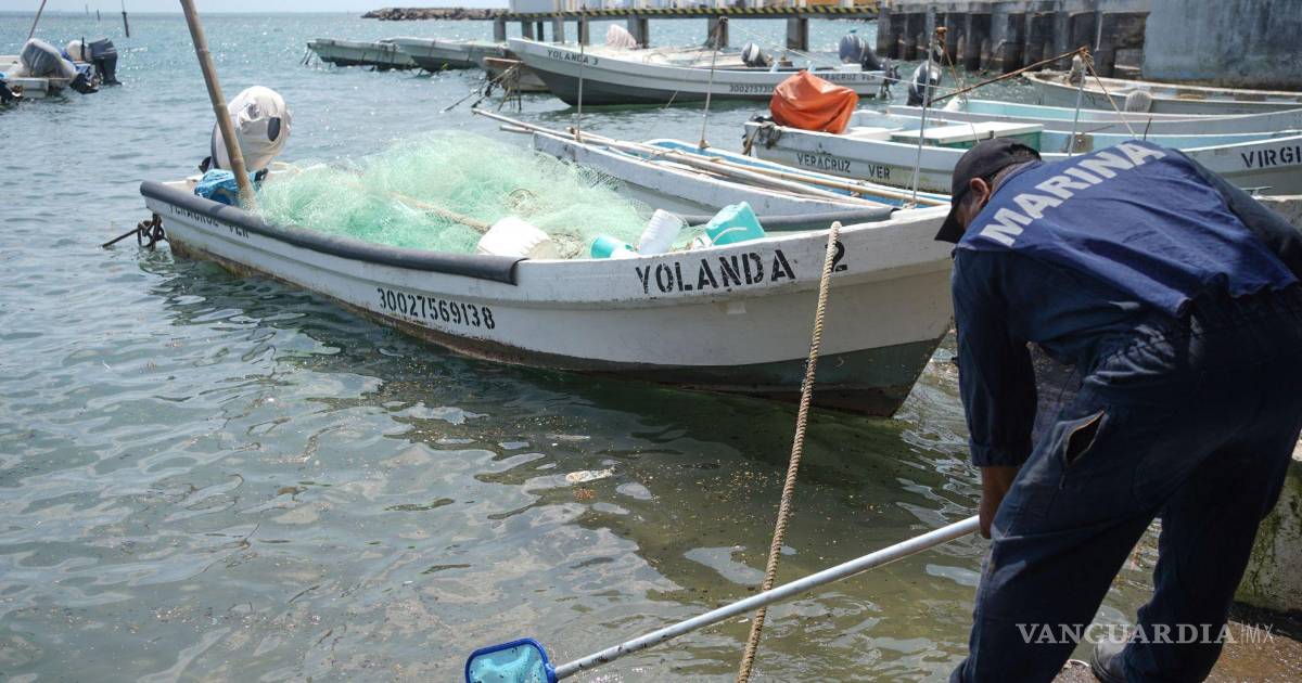 环保组织要求Pemex披露泄漏量及修复成本