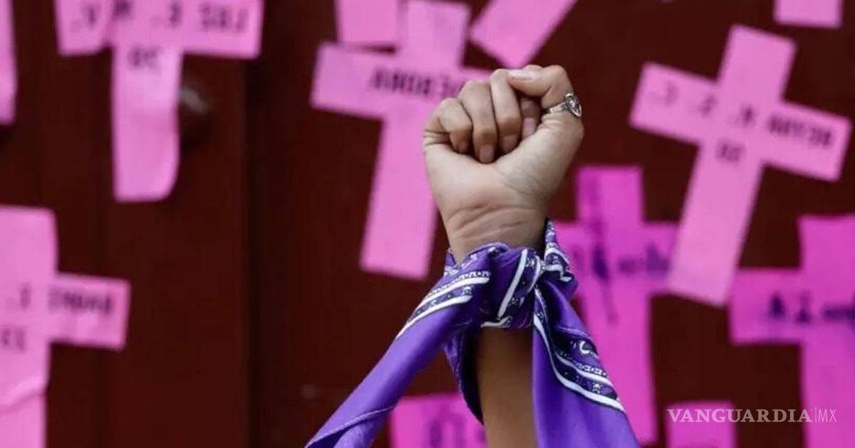 国际特赦组织支持参议院通过女性谋杀罪法案并呼吁与民间社会对话