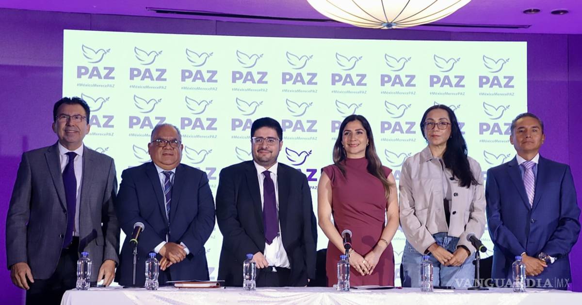 PAZ党准备在17个州竞选州长