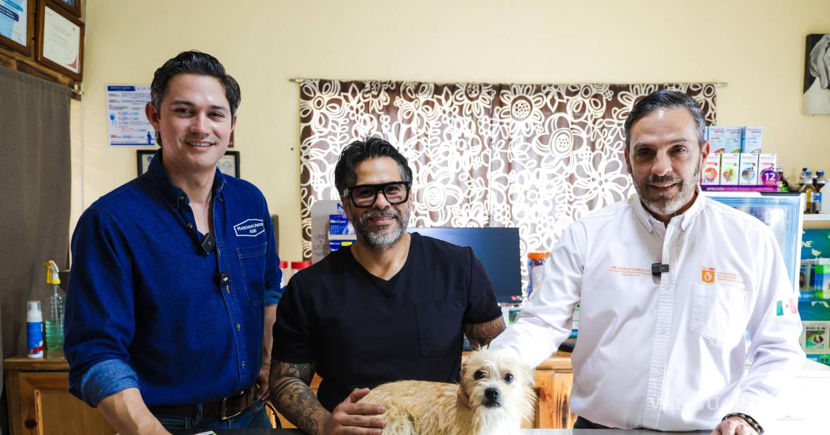 新莱昂州启动预防犬猫寄生虫的运动