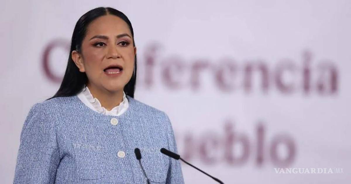 莫雷纳党主席强调不容许保护任何违法行为