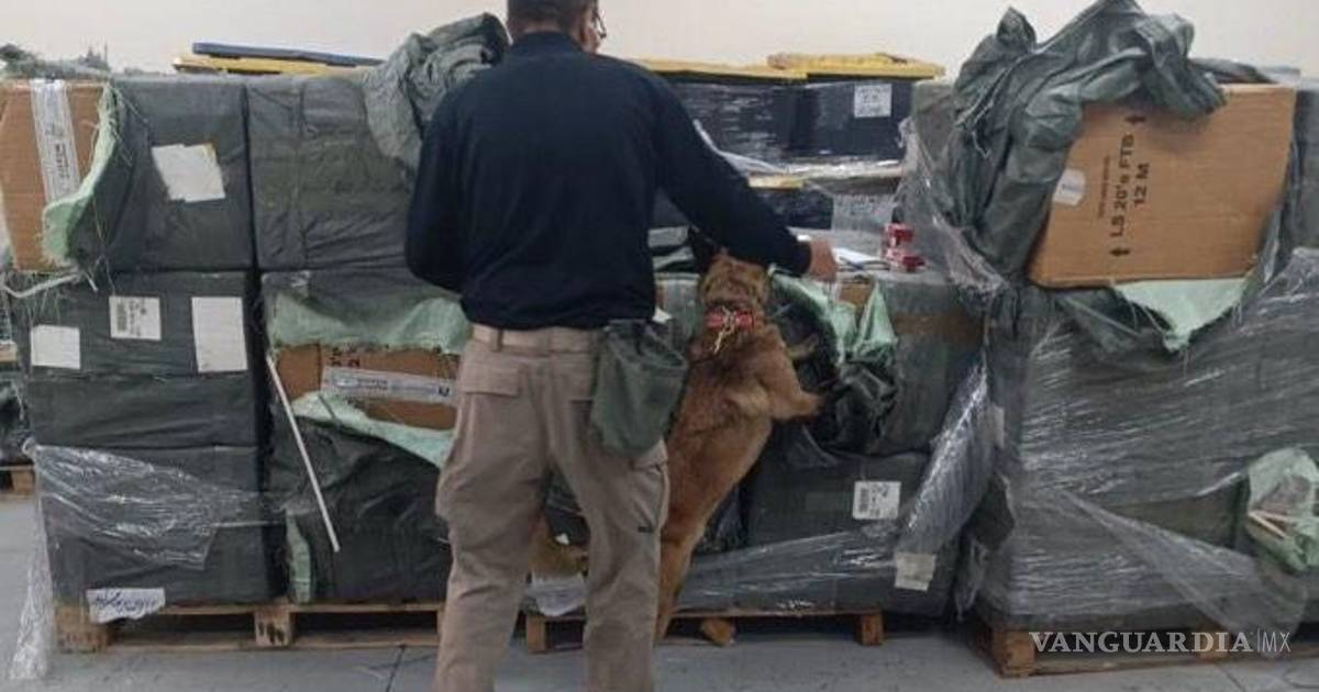 墨西哥城国际机场查获180万支非法香烟，价值950万比索