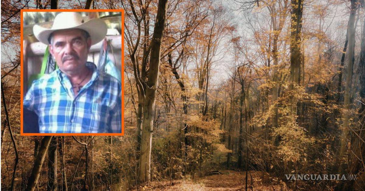 环保活动家罗伯托·查韦斯在米却肯州遭遇枪杀