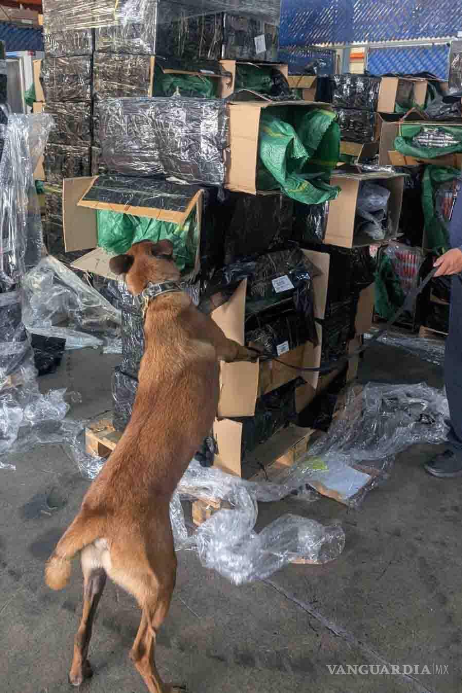 $!Personal de la Marina y de Aduanas aseguraron 2 millones 400 mil cigarros presuntamente apócrifos en el AICM, en un embarque procedente de China, el cual fue declarado documentalmente como palillos perfumados.