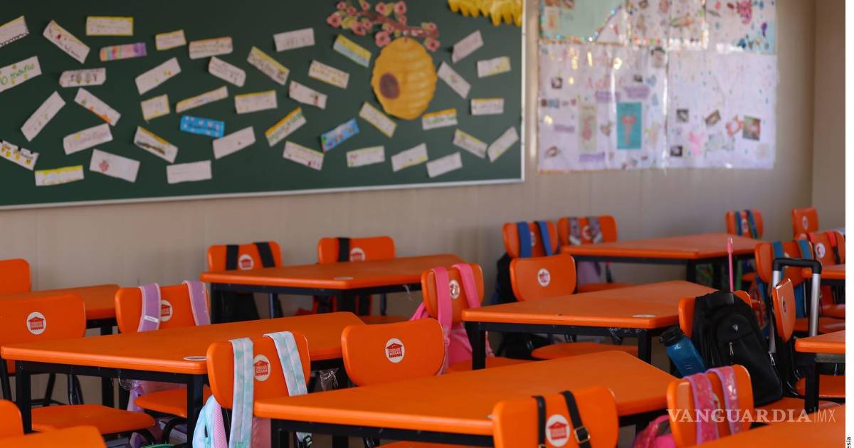 墨西哥小学教师人数增加7%