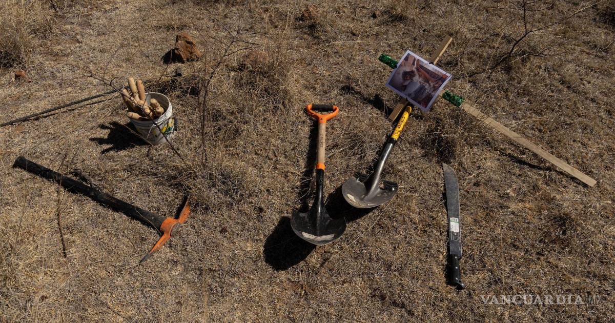 墨西哥政府对联合国失踪问题警告的回应遭到严厉批评