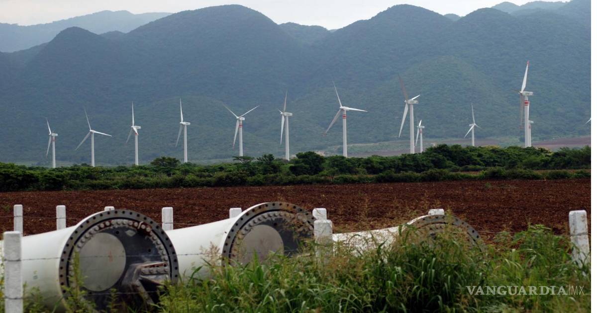 80家公司通过混合合同与CFE合作