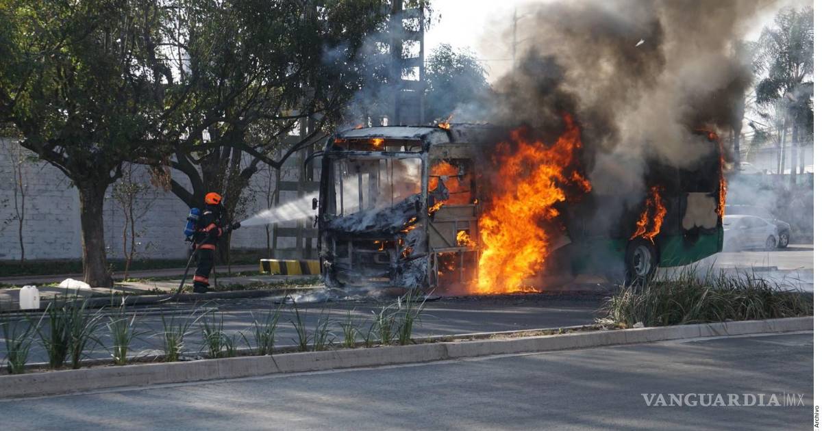 巴亚尔塔港外国游客人数下降32% 背后原因引发讨论