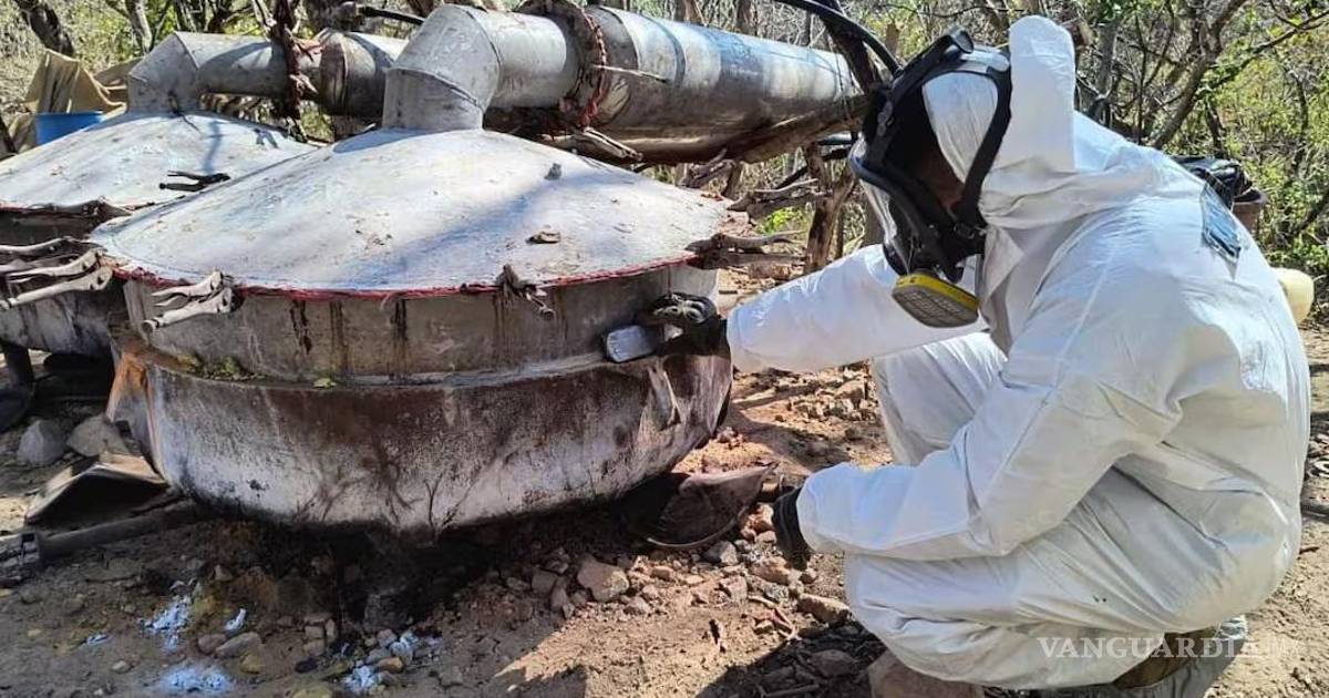 海军摧毁‘洛斯·查皮托斯’领地内的毒品实验室