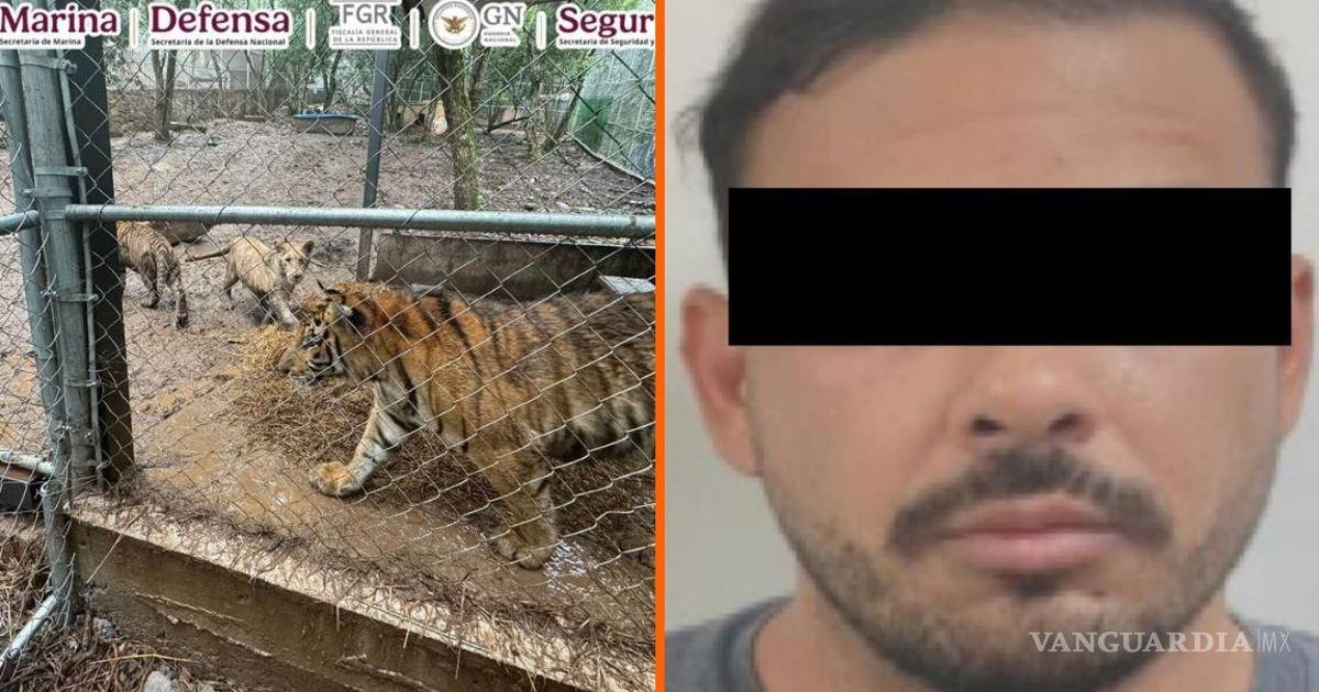 新莱昂州逮捕涉嫌与西北贩毒集团有关的José Antonio ‘N’及七只老虎被查获