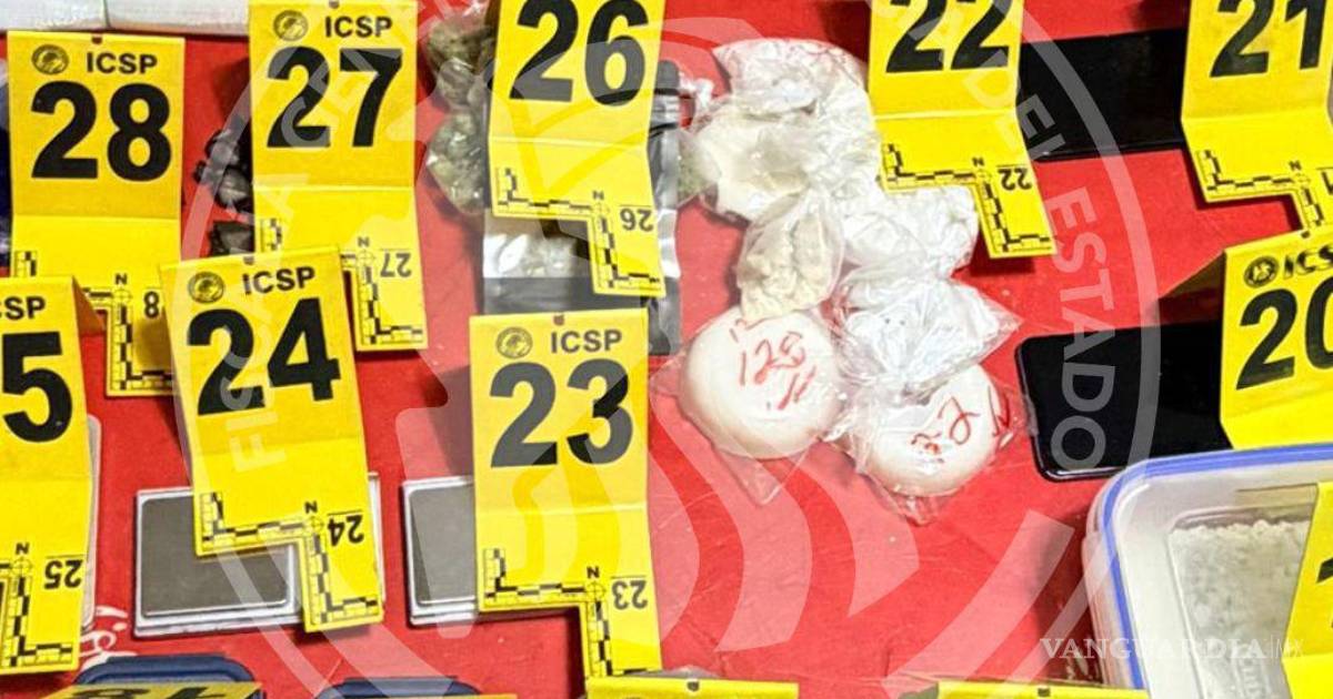 新莱昂州毒品和弹药查获案