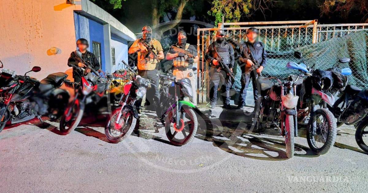 新莱昂州汽车盗窃案件调查行动抓获四人