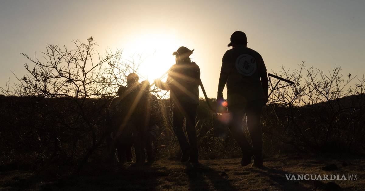 哈利斯科州发现贩毒窝点