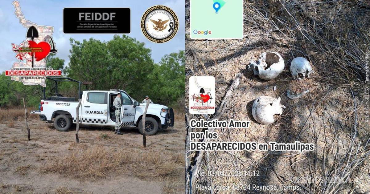 塔毛利帕斯发现14具人类遗骸的非法墓地