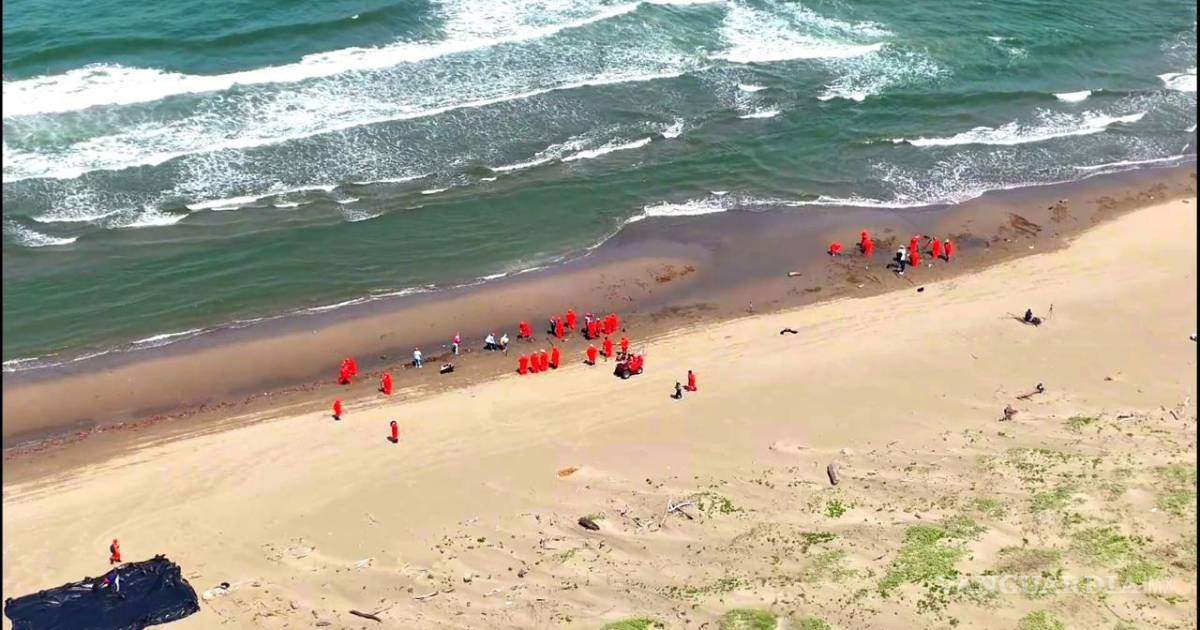 墨西哥联邦政府宣布韦拉克鲁斯州和塔巴斯科州的石油泄漏应急工作已完成