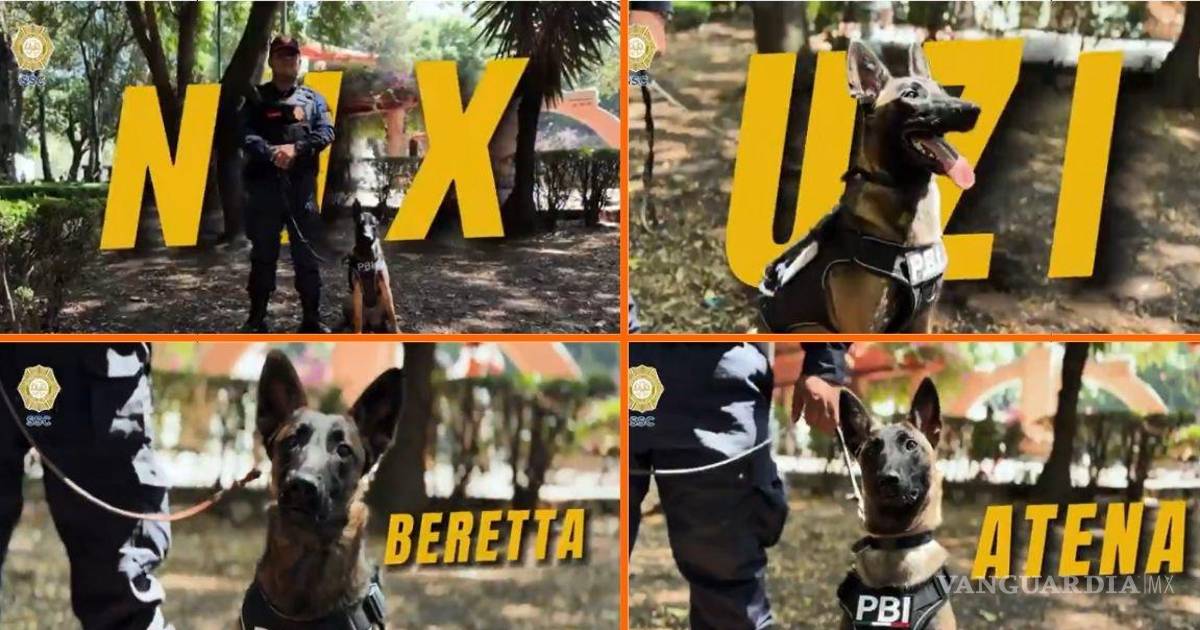 四只K9犬专家加入墨西哥警方备战2026世界杯