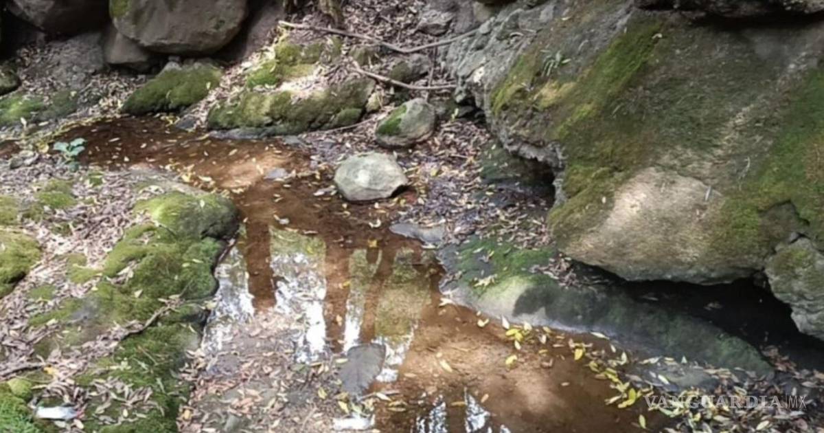 墨西哥州油泄漏事件致3万居民缺水