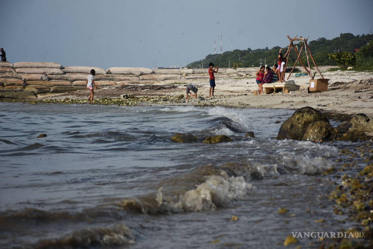 $!En el monitoreo ciudadano se evidencia una afectación significativa a la flora y fauna. FOTO: Cuartoscuro