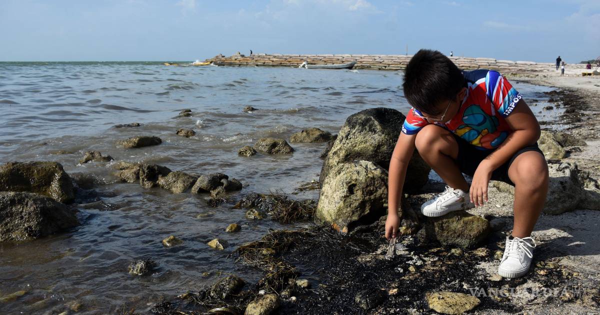 哈利斯科新世代贩毒集团泄漏事件持续影响墨西哥湾沿岸