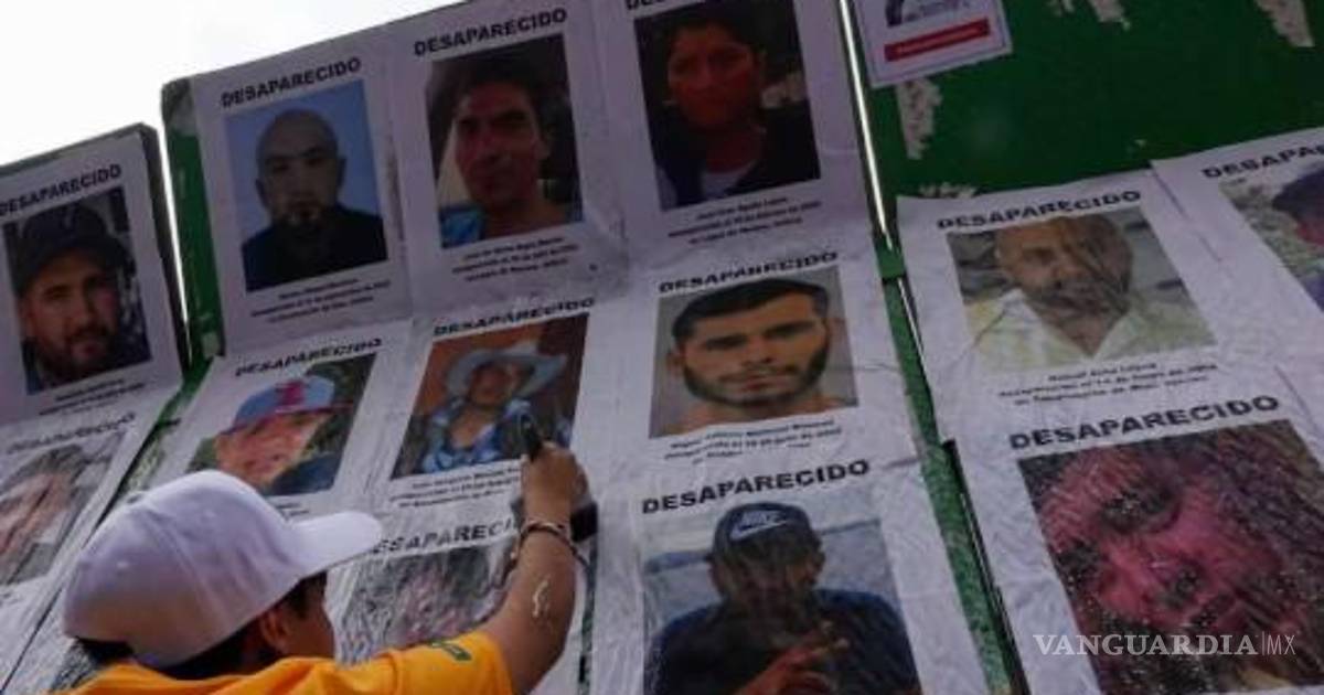 墨西哥失踪案件增加10.5%，国际特赦组织发出警告