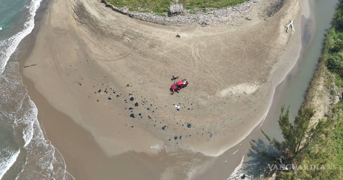 海军确认墨西哥湾未发现石油污染