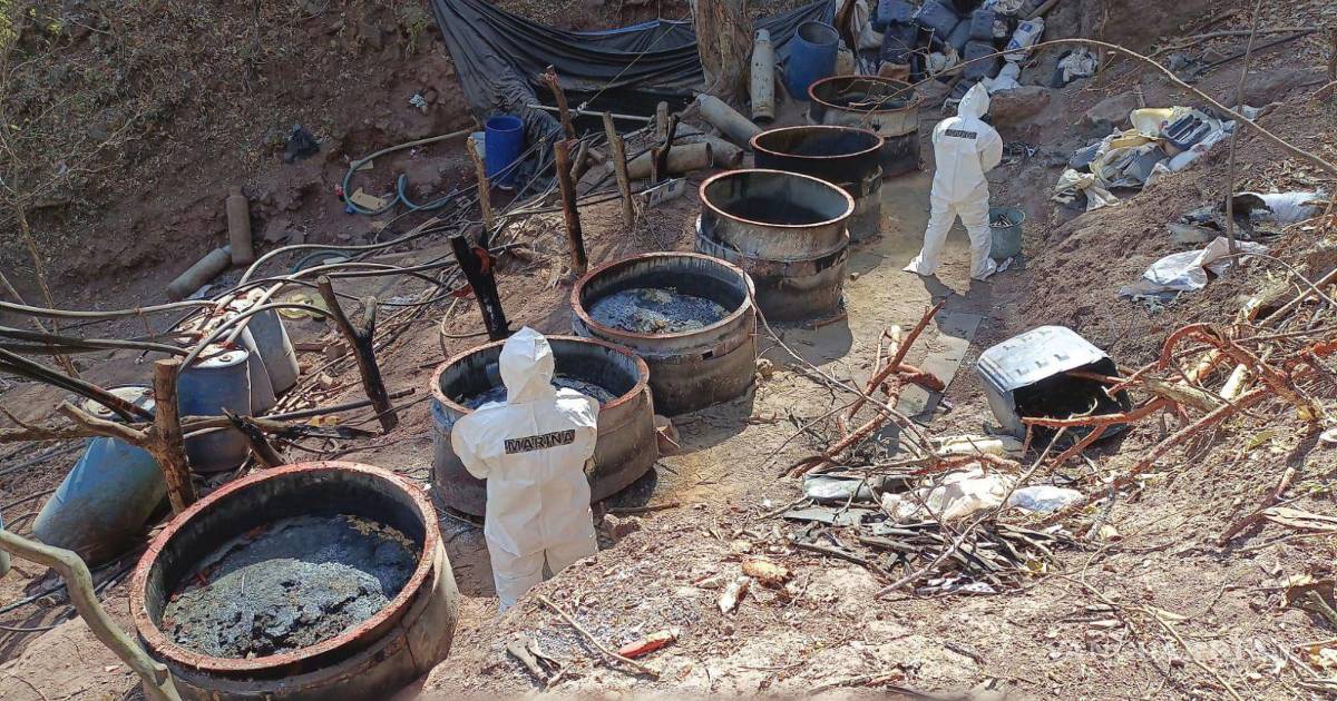 哈利斯科州、纳亚里特州和锡那罗亚州拆除五个贩毒实验室,涉及‘园丁’