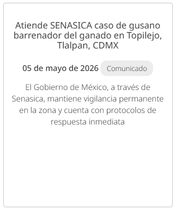 $!Detectan primer caso de gusano barrenador en perro en CDMX; activan vigilancia en Tlalpan