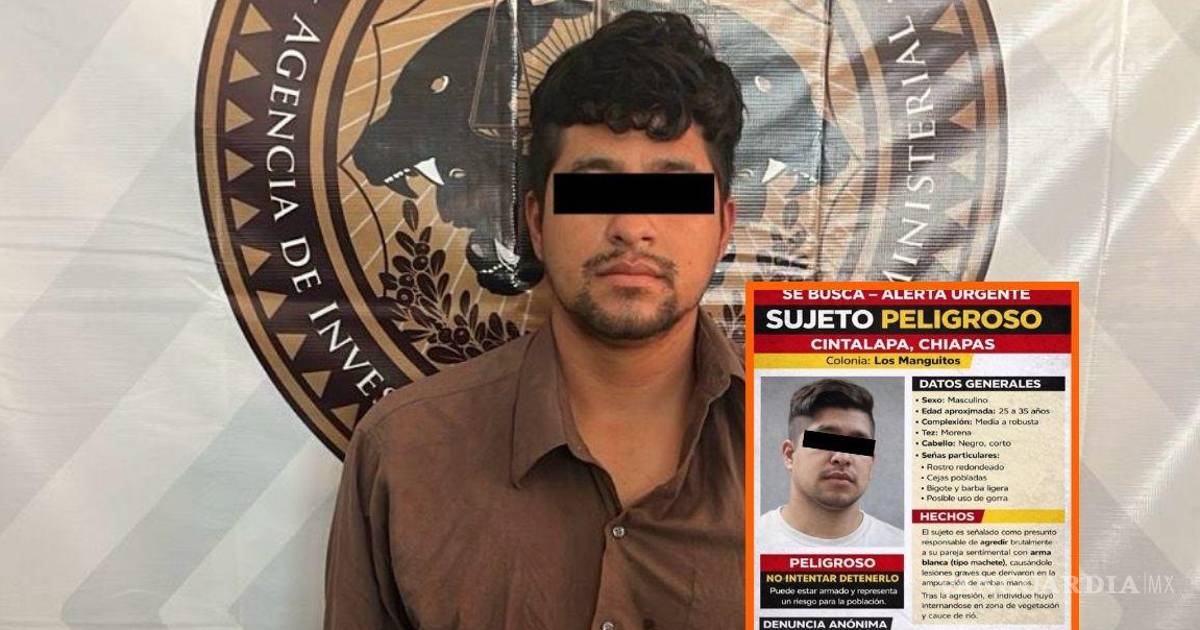 恰帕斯州逮捕涉嫌对安娜·路易莎实施暴力的犯罪嫌疑人; 检方将追求最高刑罚