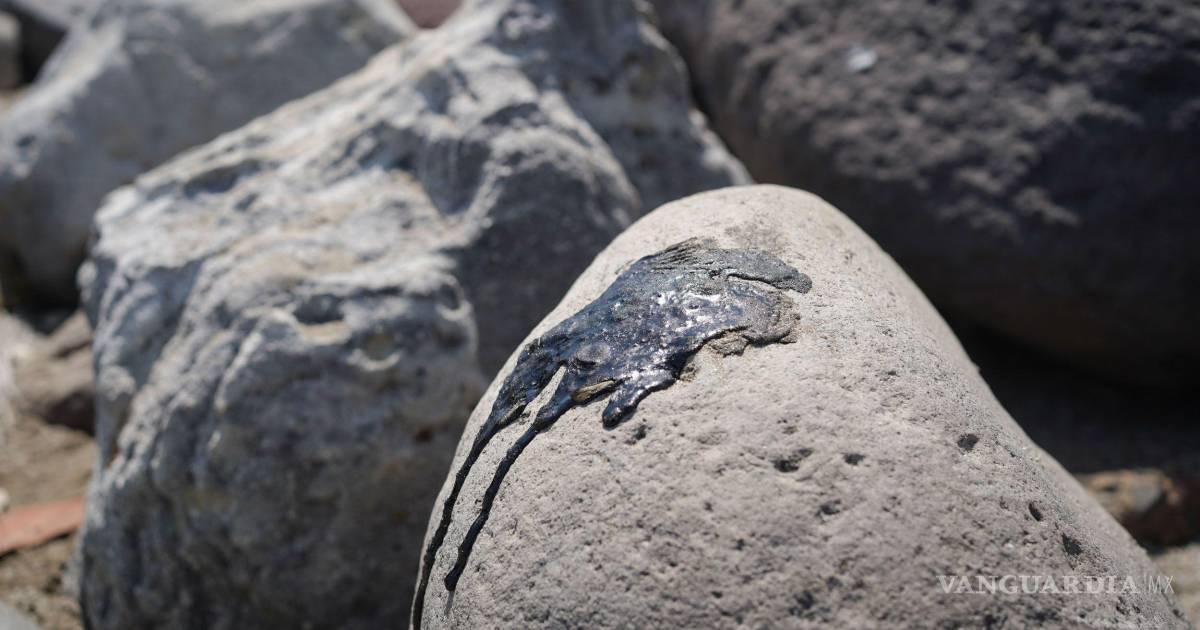 墨西哥湾原油泄漏引发社交媒体意见分歧