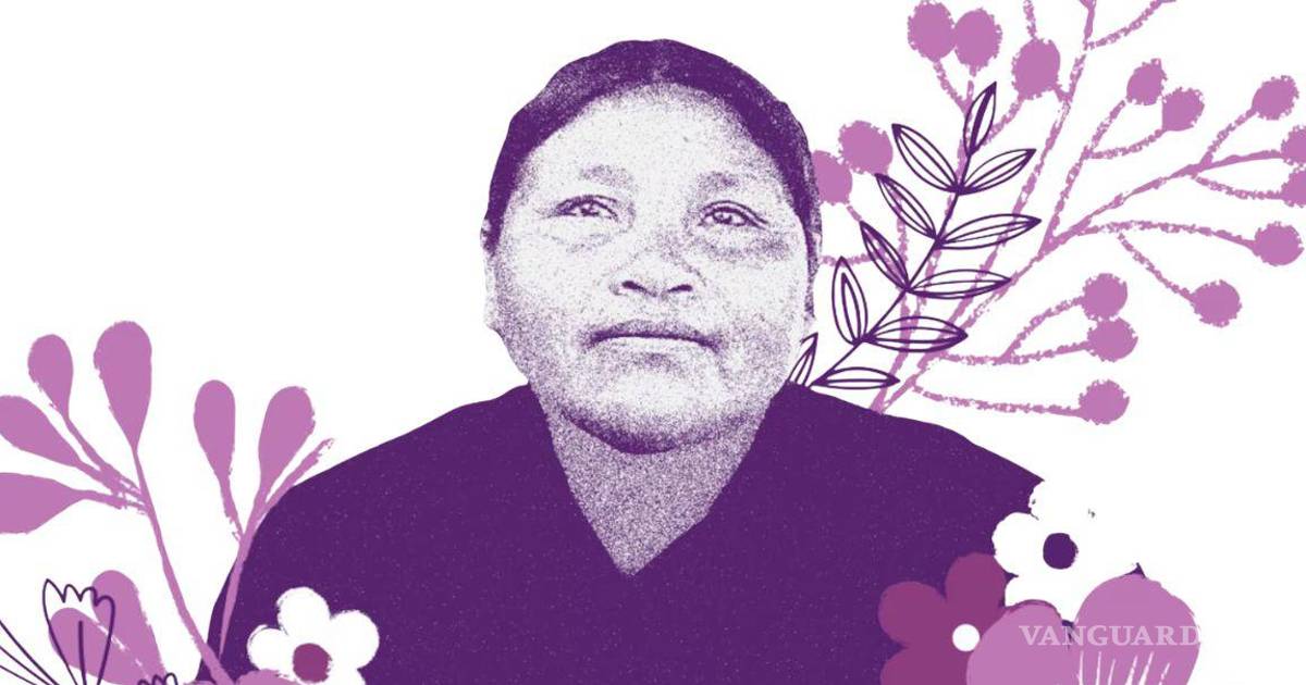 国际人权法院裁定墨西哥在Ernestina Ascencio Rosario案件中负有责任