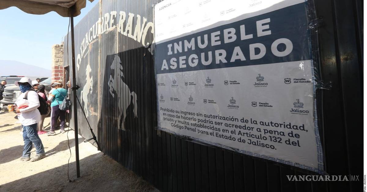 哈利斯科新世代贩毒集团清除80%招募者