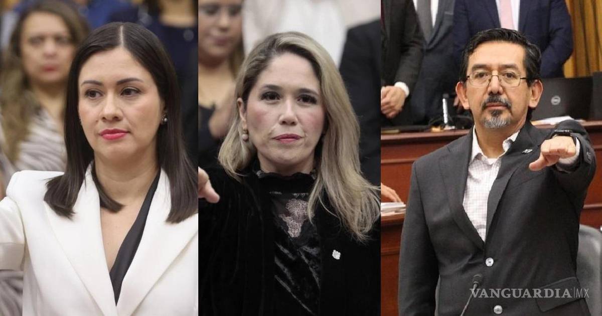 新任INE委员宣誓承诺公正与自主