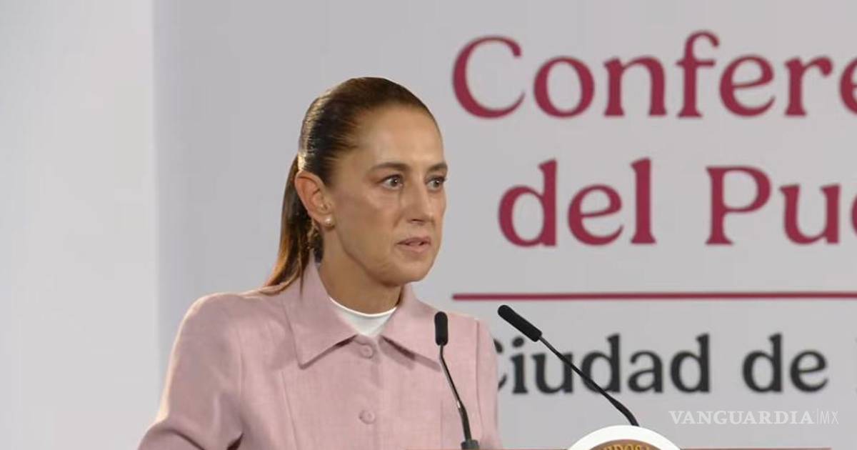 谢因鲍姆要求美国大使罗纳德·约翰逊和克雷塔罗州长毛里西奥·库里遵守墨西哥法律