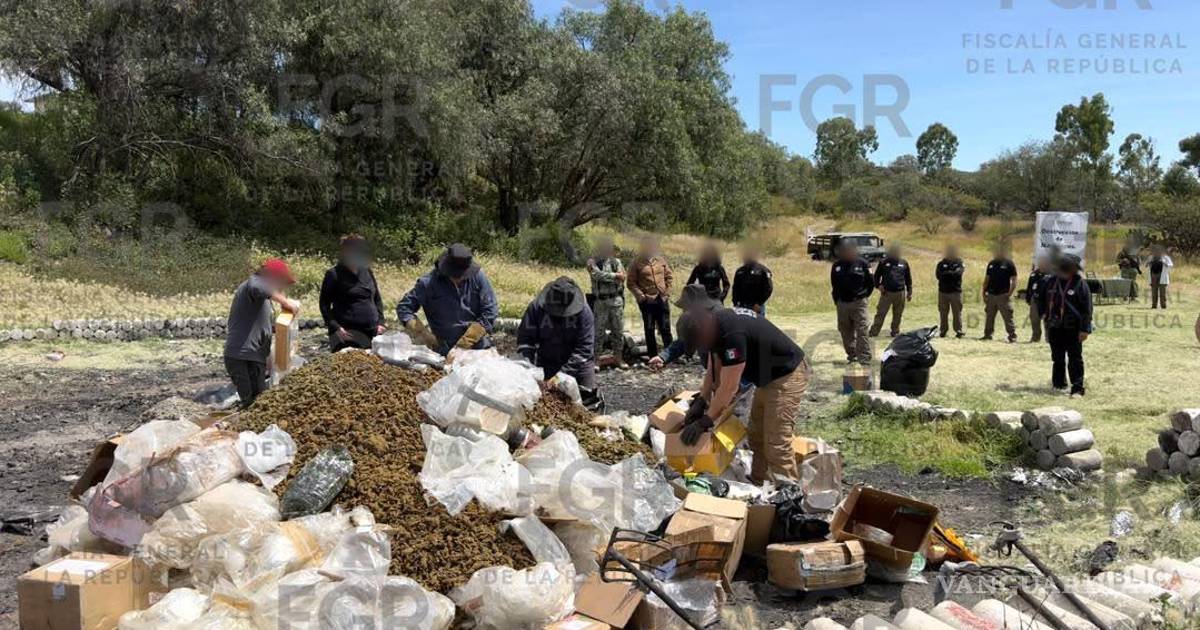 墨西哥联邦总检察署在特奥蒂瓦坎军事营地销毁超过半吨毒品