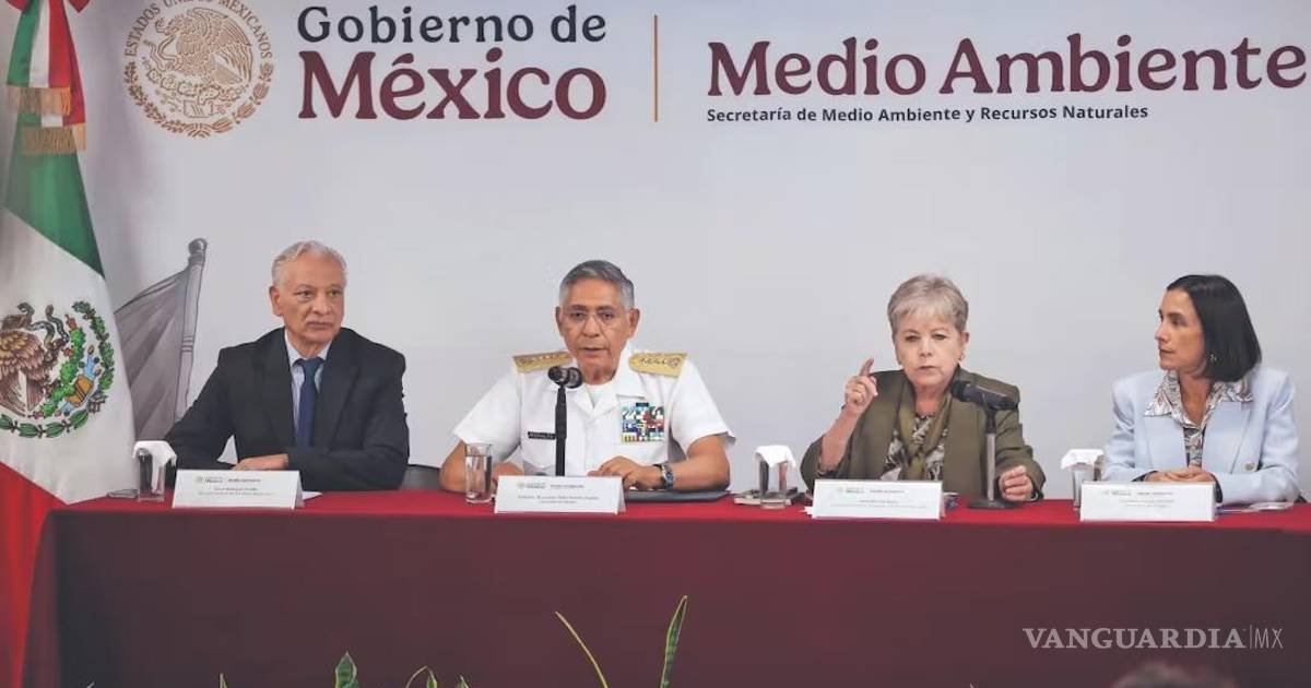 墨西哥湾漏油事件后海滩恢复清洁