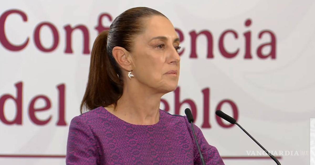 谢因鲍姆称联邦政府未获悉CIA特工参与奇瓦瓦行动