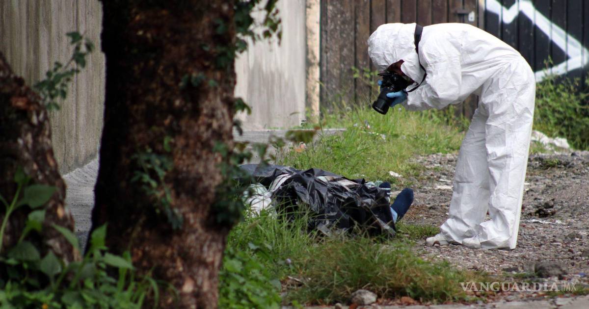 哈利斯科州发现人类遗骸袋