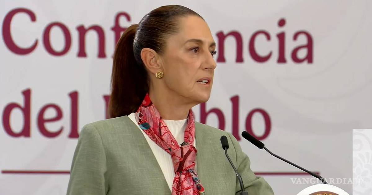 谢因鲍姆庆祝20个州批准选举改革计划B,称其已具宪法效力