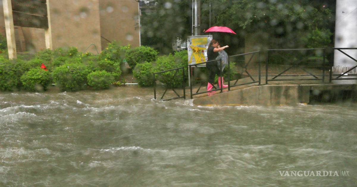 强降雨袭击新莱昂州：两人死亡，多地被淹，车辆被洪水冲走