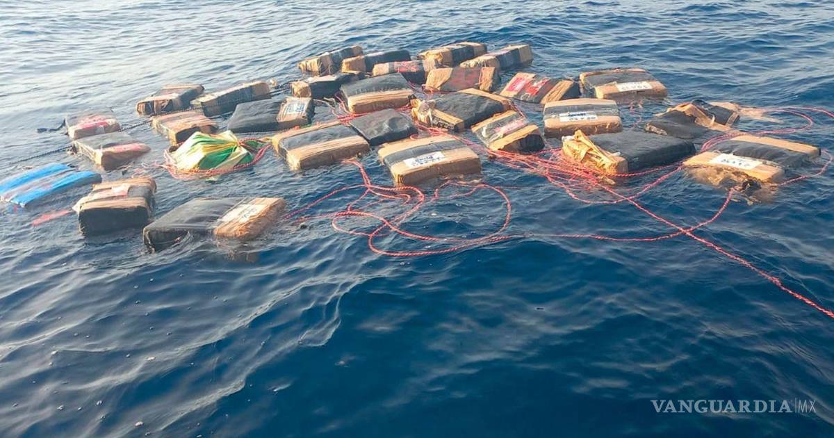 墨西哥海军在瓦哈卡海岸截获超过两吨可卡因