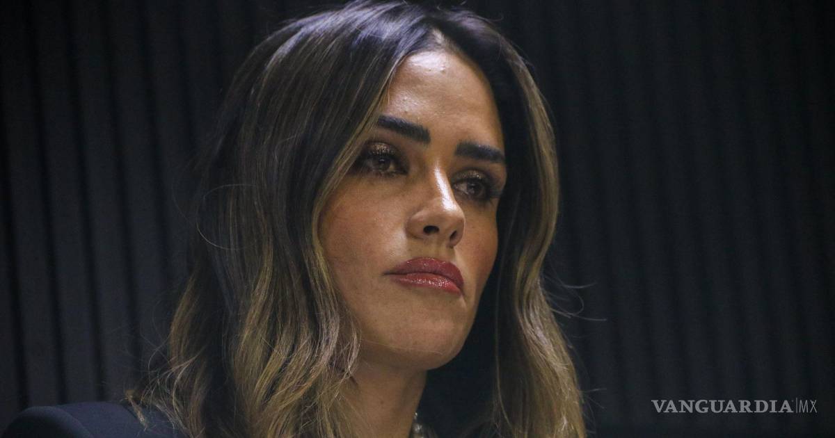 莫雷纳党指控罗霍·德拉维加提前活动并请求INE制止其宣传