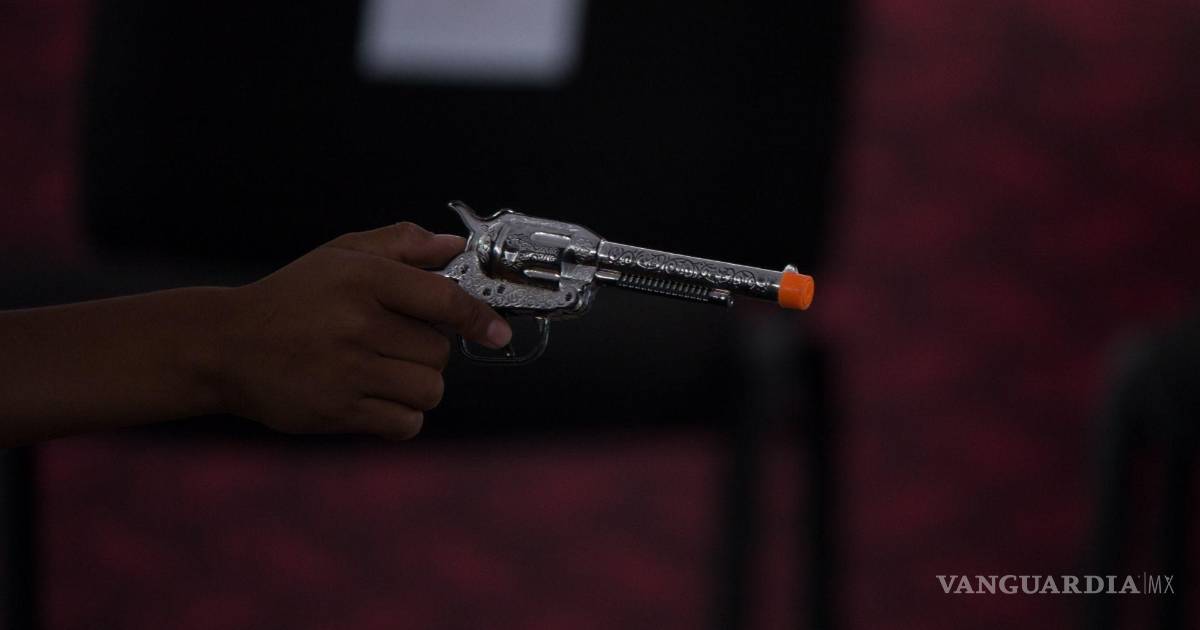 新莱昂州警方出动应对学生携带玩具枪事件