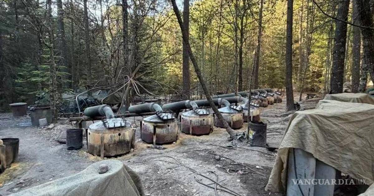 恰瓦州调查局局长及两名美国教官在反毒行动中遇难