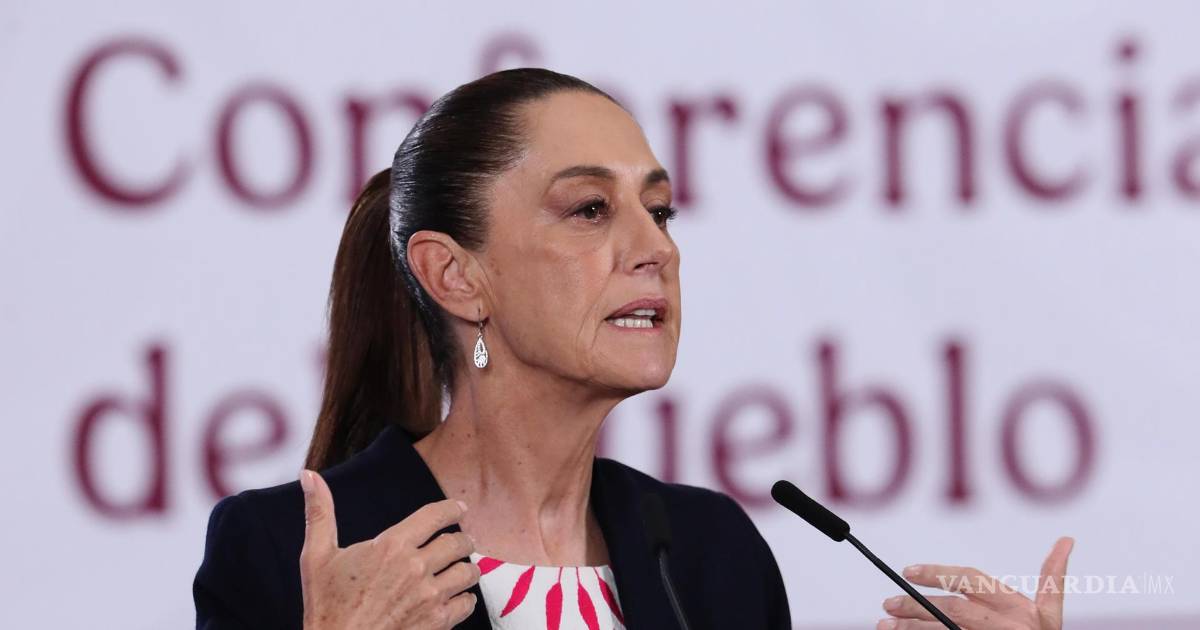 Riva Palacio警告谢因鲍姆政府宣传崩溃无效